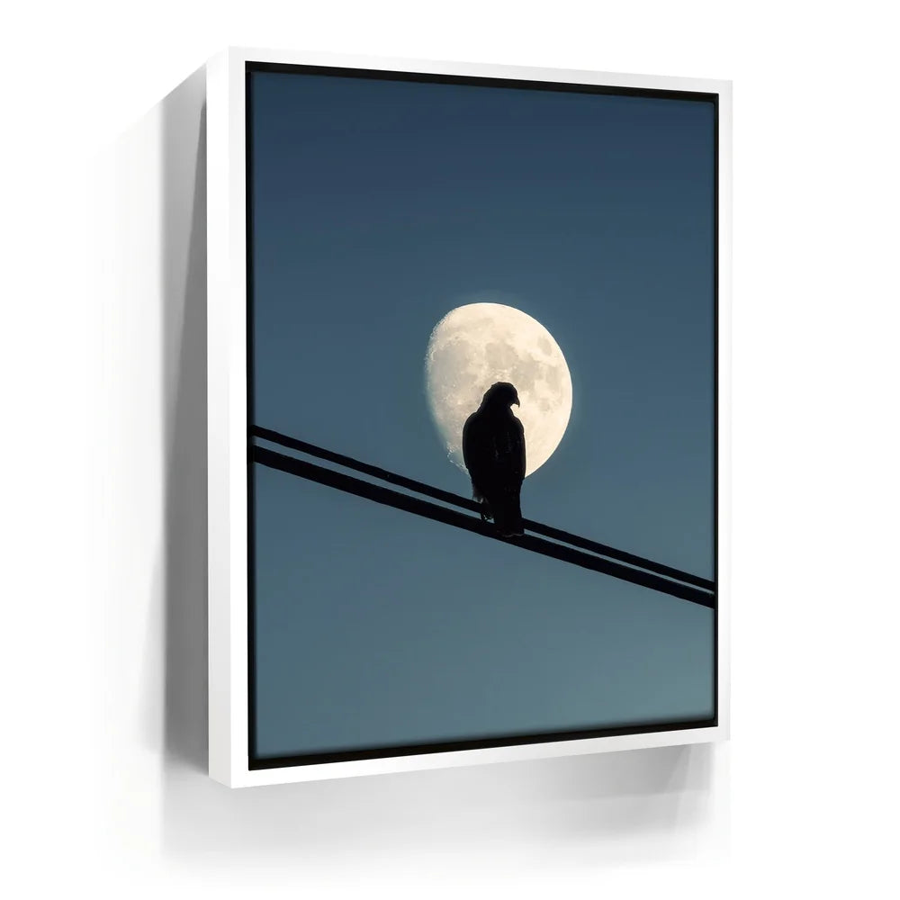 Featured image 6 for Night Hawk