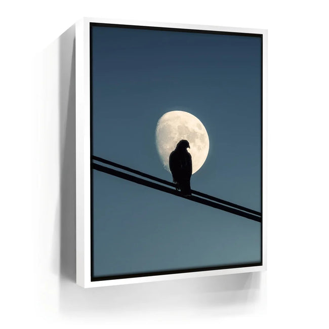 Featured image 6 for Night Hawk