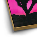 Thumbnail image 12 for Northern Lights At Joshua Tree