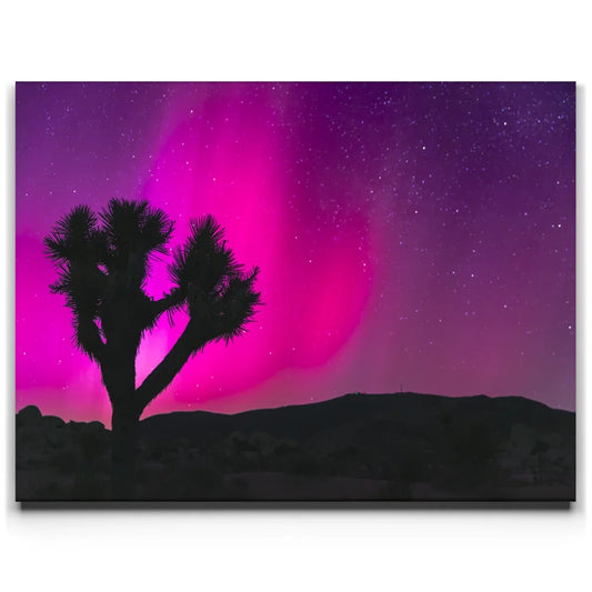 Northern Lights At Joshua Tree Posters, Prints, & Visual Artwork TheGoatWallArt LANDSCAPE 24x18 0.75" STANDARD