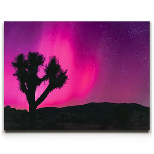 Northern Lights At Joshua Tree