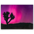 Featured image 1 for Northern Lights At Joshua Tree
