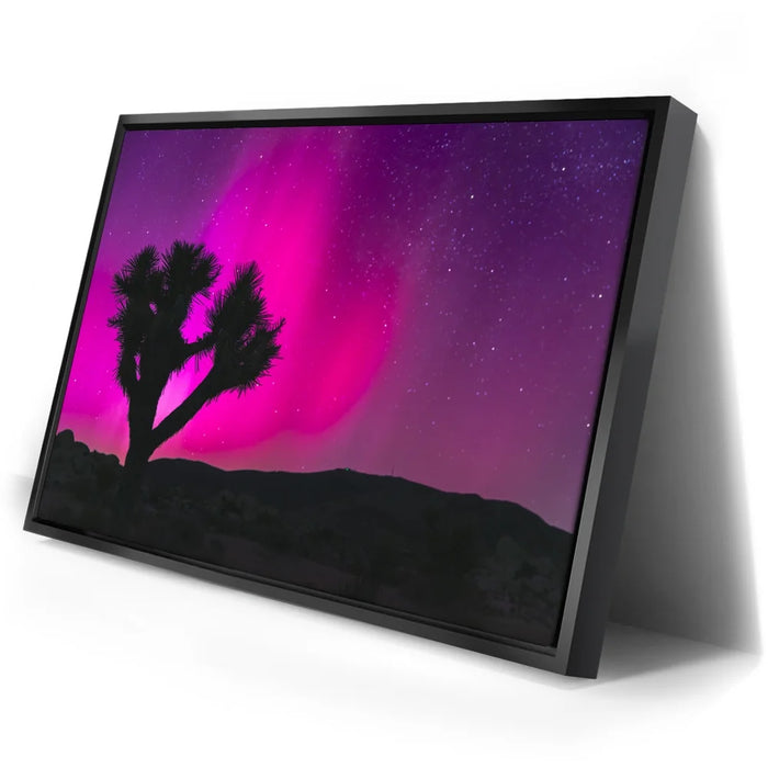 Featured image 2 for Northern Lights At Joshua Tree