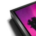 Thumbnail image 11 for Northern Lights At Joshua Tree