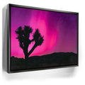 Featured image 5 for Northern Lights At Joshua Tree