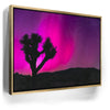Featured image 7 for Northern Lights At Joshua Tree