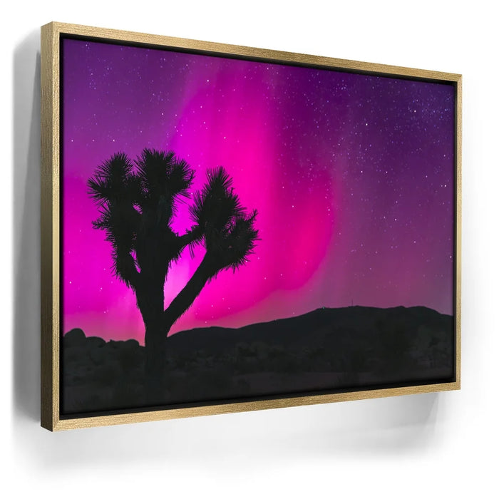 Featured image 7 for Northern Lights At Joshua Tree
