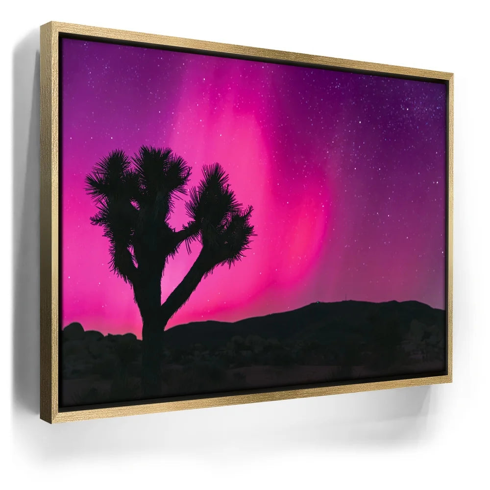 Featured image 7 for Northern Lights At Joshua Tree