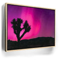 Featured image 9 for Northern Lights At Joshua Tree