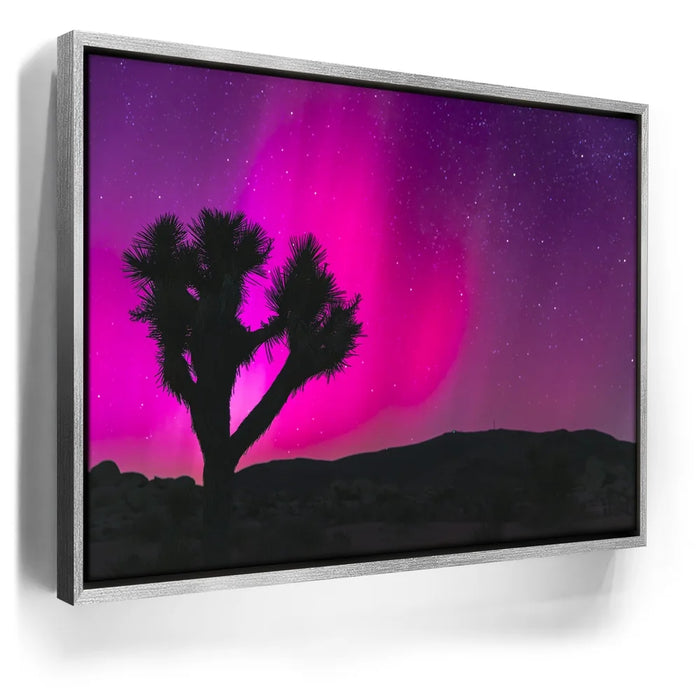 Featured image 8 for Northern Lights At Joshua Tree