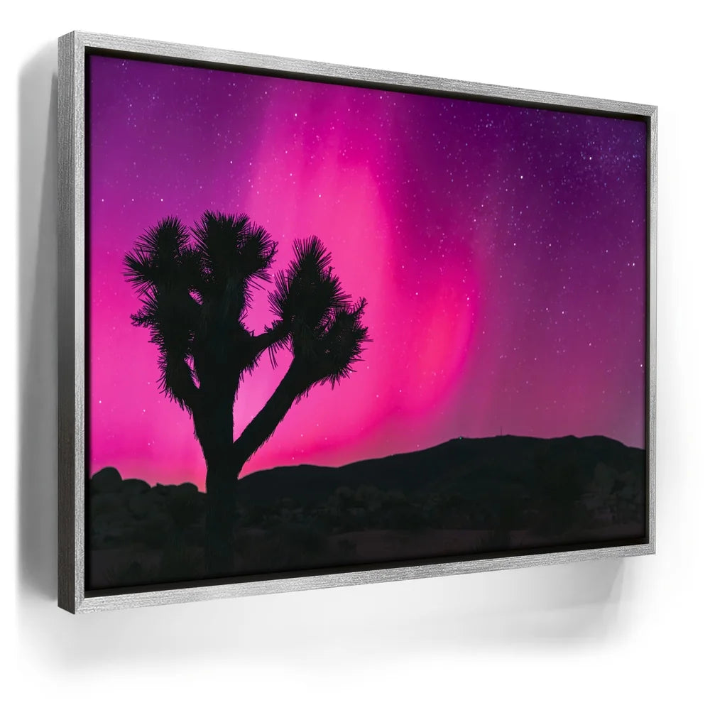 Featured image 8 for Northern Lights At Joshua Tree