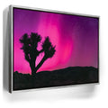 Featured image 8 for Northern Lights At Joshua Tree