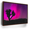 Featured image 10 for Northern Lights At Joshua Tree