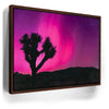 Featured image 10 for Northern Lights At Joshua Tree