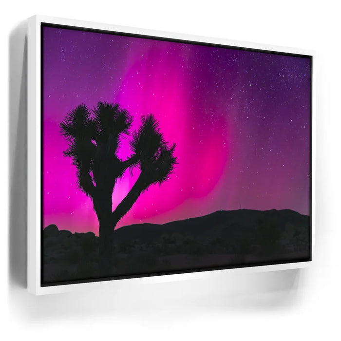 Featured image 6 for Northern Lights At Joshua Tree