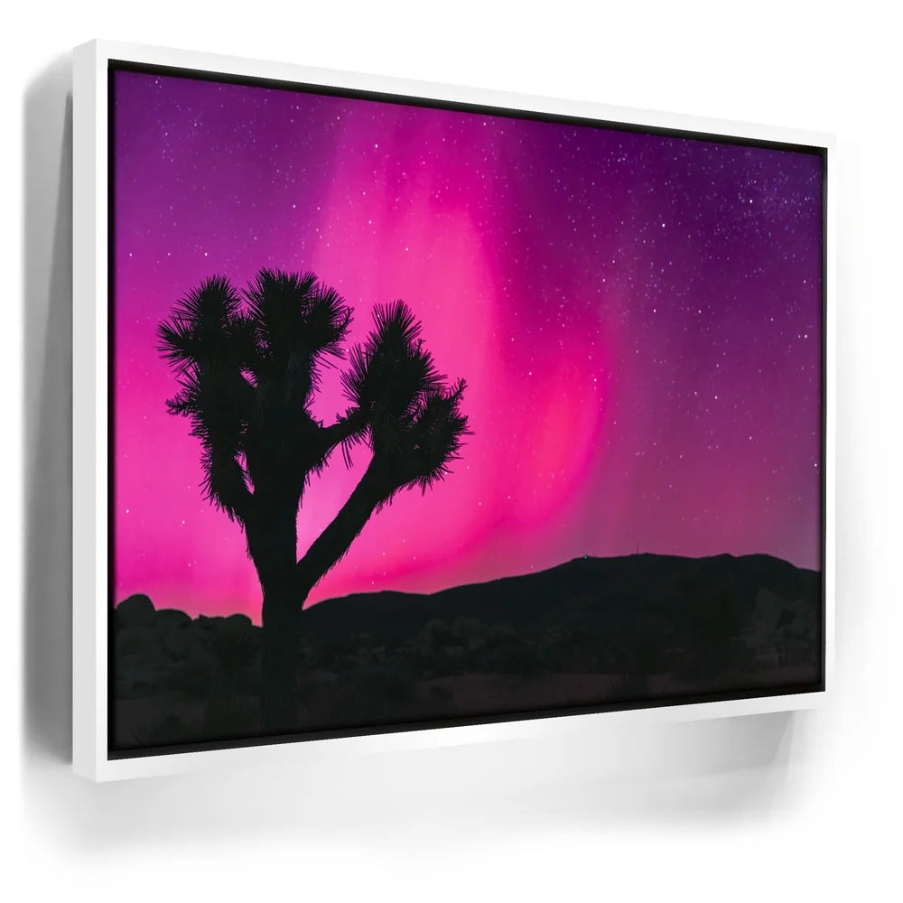 Featured image 6 for Northern Lights At Joshua Tree