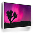 Featured image 6 for Northern Lights At Joshua Tree