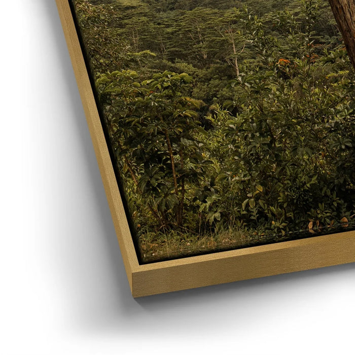 Featured image 12 for Not a Lonely Tree-Oahu, HI