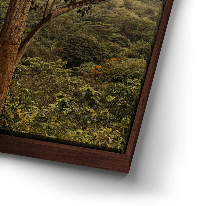 Featured image 14 for Not a Lonely Tree-Oahu, HI