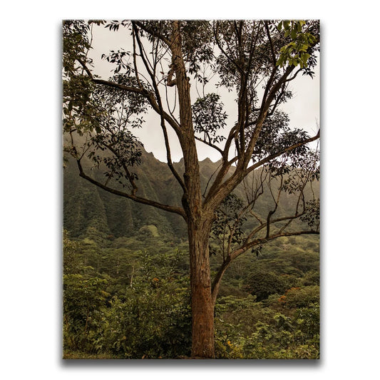 Not a Lonely Tree-Oahu, HI Posters, Prints, & Visual Artwork TheGoatWallArt PORTRAIT 18x24 0.75" STANDARD