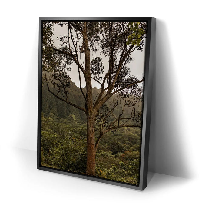 Featured image 2 for Not a Lonely Tree-Oahu, HI