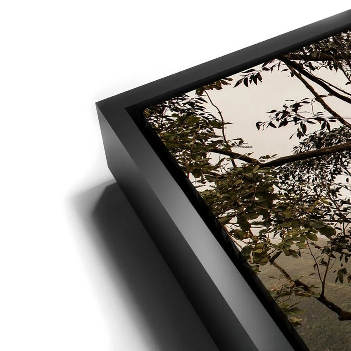 Featured image 11 for Not a Lonely Tree-Oahu, HI