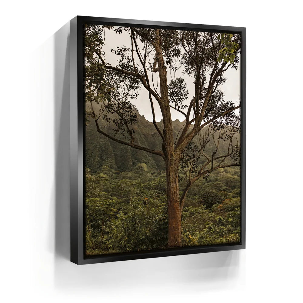 Featured image 5 for Not a Lonely Tree-Oahu, HI