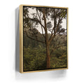 Featured image 7 for Not a Lonely Tree-Oahu, HI