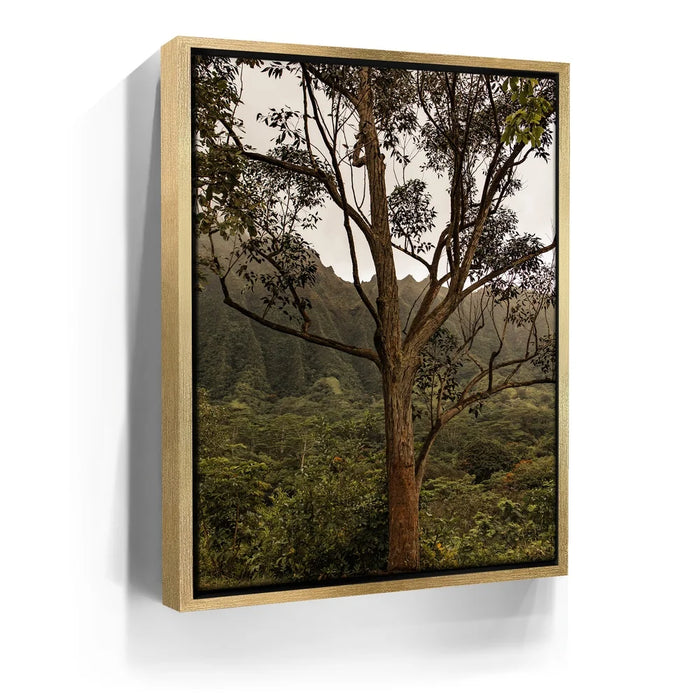 Featured image 7 for Not a Lonely Tree-Oahu, HI