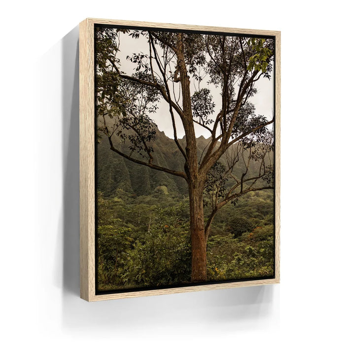 Featured image 9 for Not a Lonely Tree-Oahu, HI