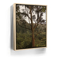 Featured image 9 for Not a Lonely Tree-Oahu, HI