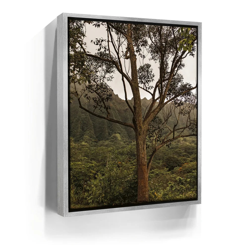 Featured image 8 for Not a Lonely Tree-Oahu, HI