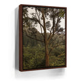 Featured image 10 for Not a Lonely Tree-Oahu, HI