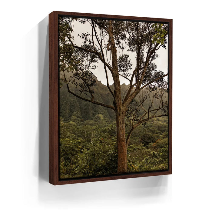 Featured image 10 for Not a Lonely Tree-Oahu, HI