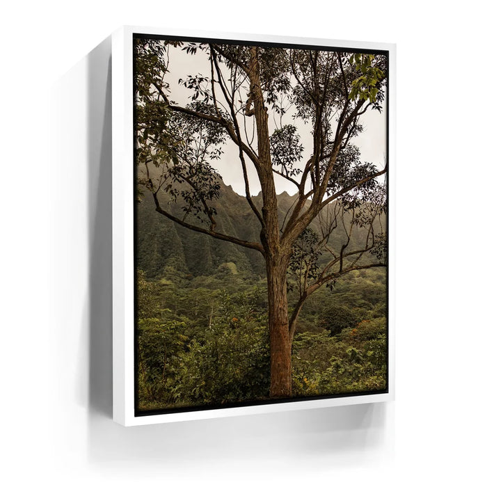 Featured image 6 for Not a Lonely Tree-Oahu, HI