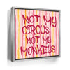 Featured image 8 for Not My Circus Not My Monkeys