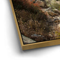 Thumbnail image 12 for Oasis Valley