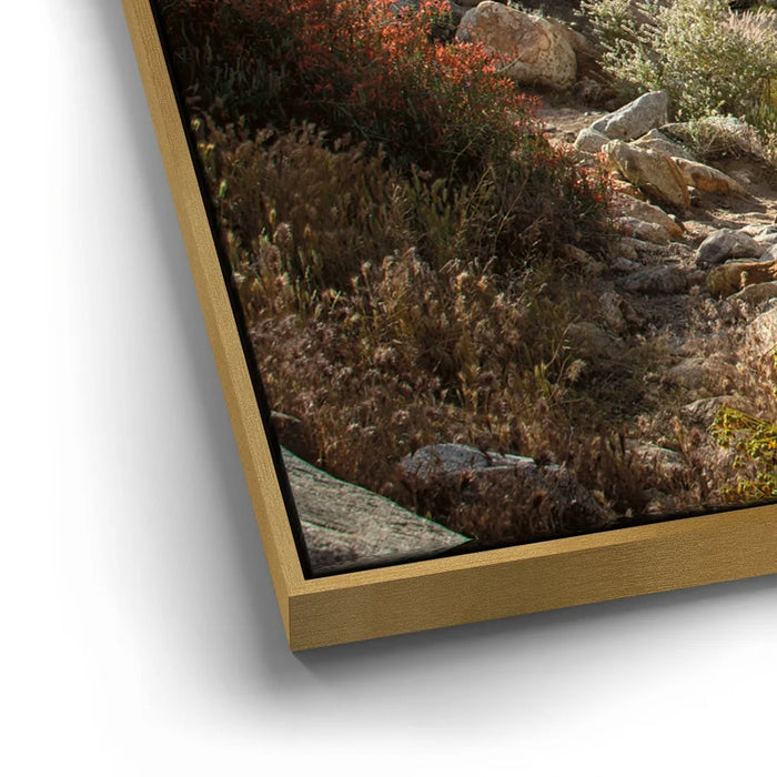 Featured image 12 for Oasis Valley