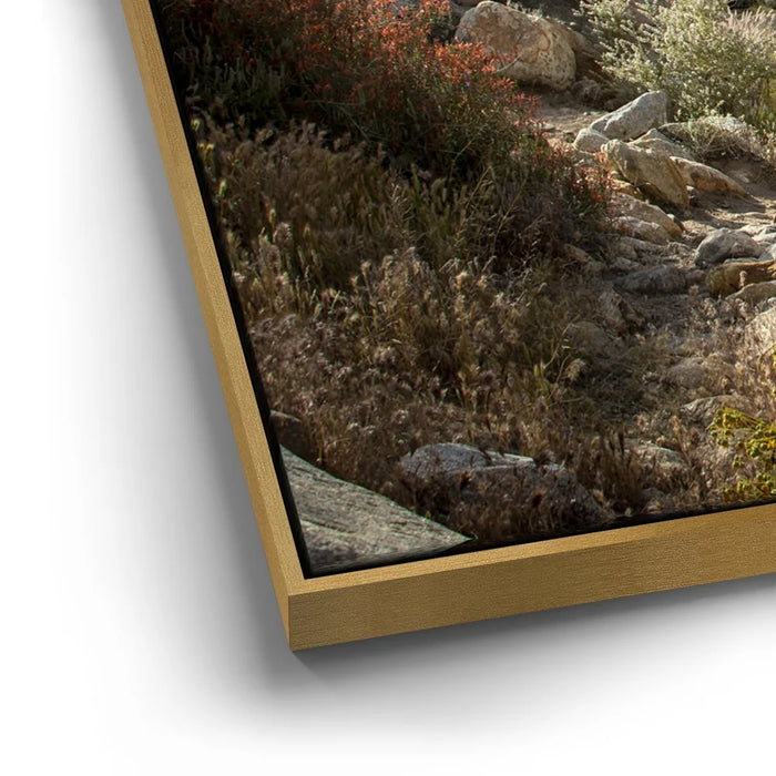 Featured image 12 for Oasis Valley