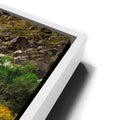 Thumbnail image 13 for Oasis Valley