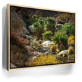 Featured image 9 for Oasis Valley