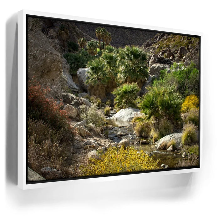 Featured image 6 for Oasis Valley