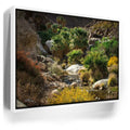 Featured image 6 for Oasis Valley