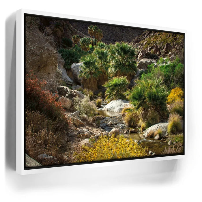 Featured image 6 for Oasis Valley