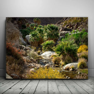 Oasis Valley