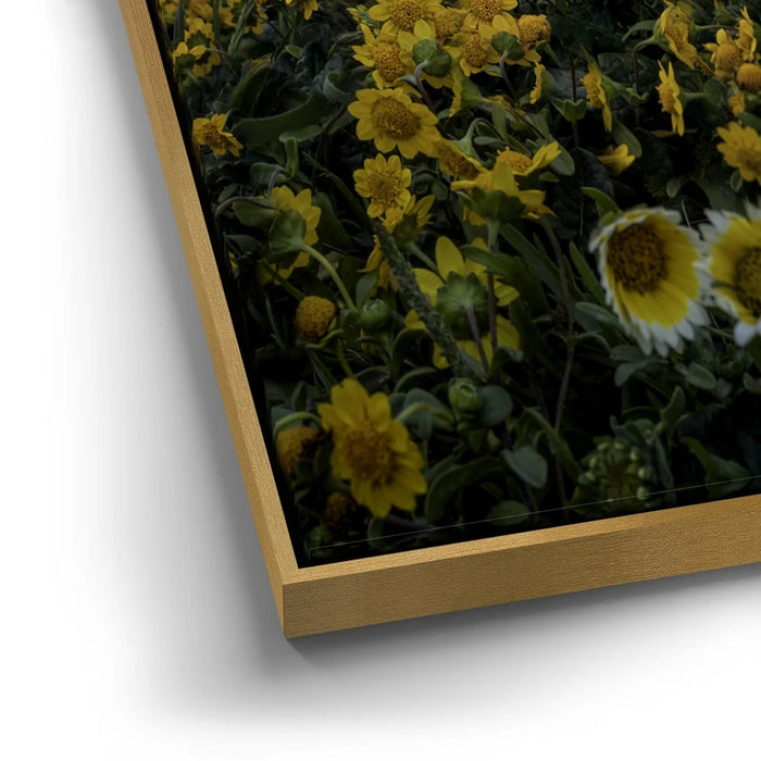 Featured image 11 for Ocean Bloom