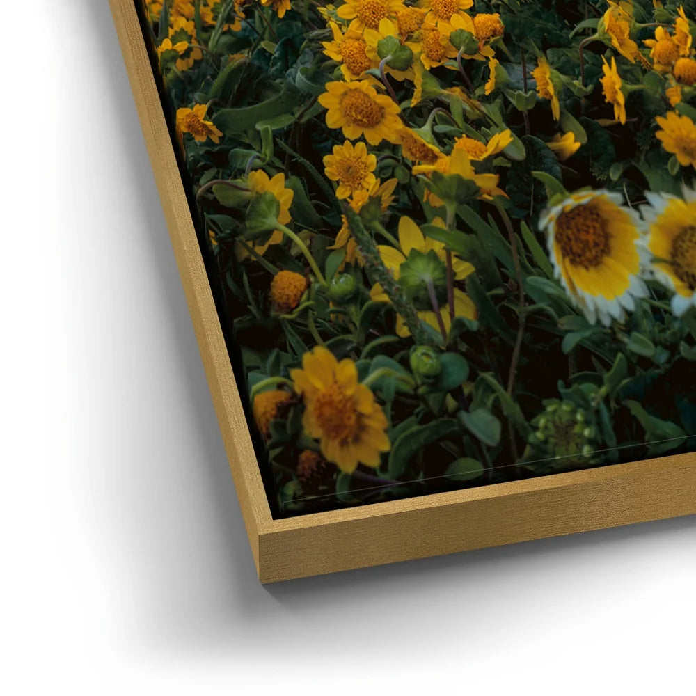 Featured image 12 for Ocean Bloom