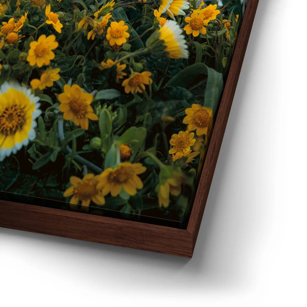 Featured image 14 for Ocean Bloom