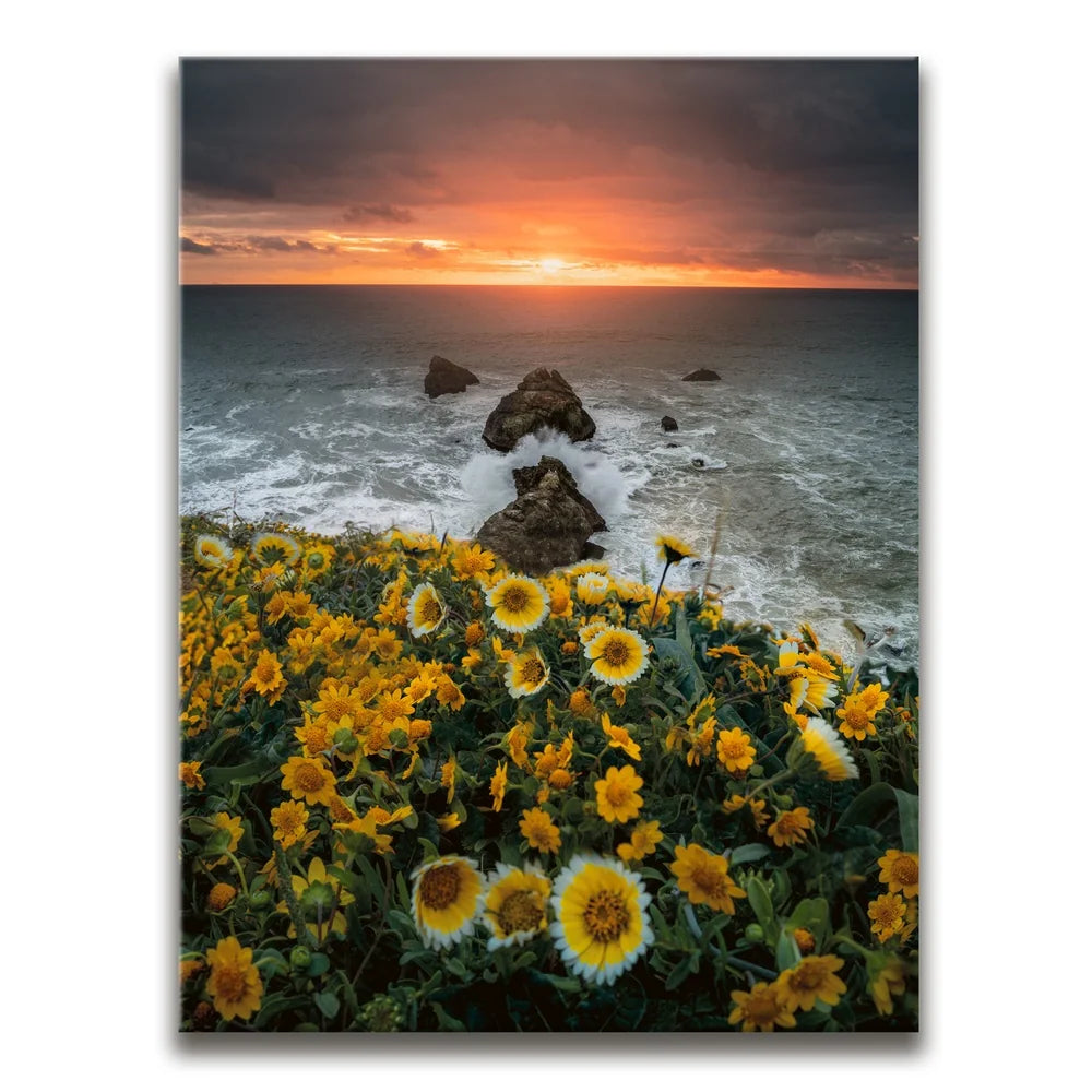 Featured image 1 for Ocean Bloom