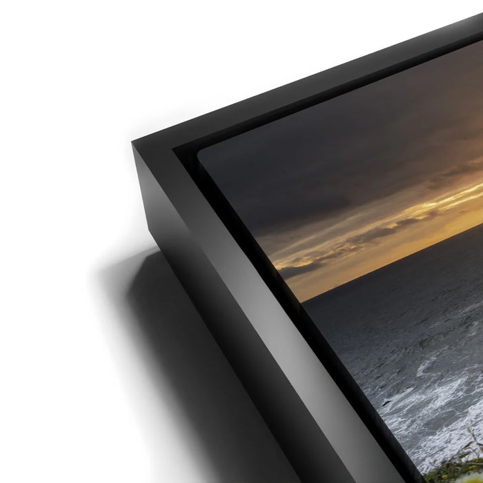 Featured image 10 for Ocean Bloom